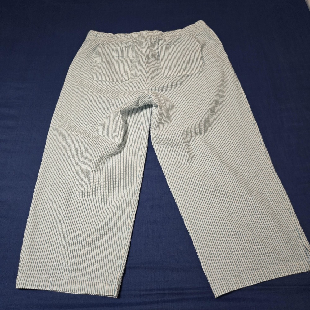 Sag Harbor Pants Womens Small Blue Striped‎ Stretch Capri Elastic Waist Cotton - Picture 7 of 9